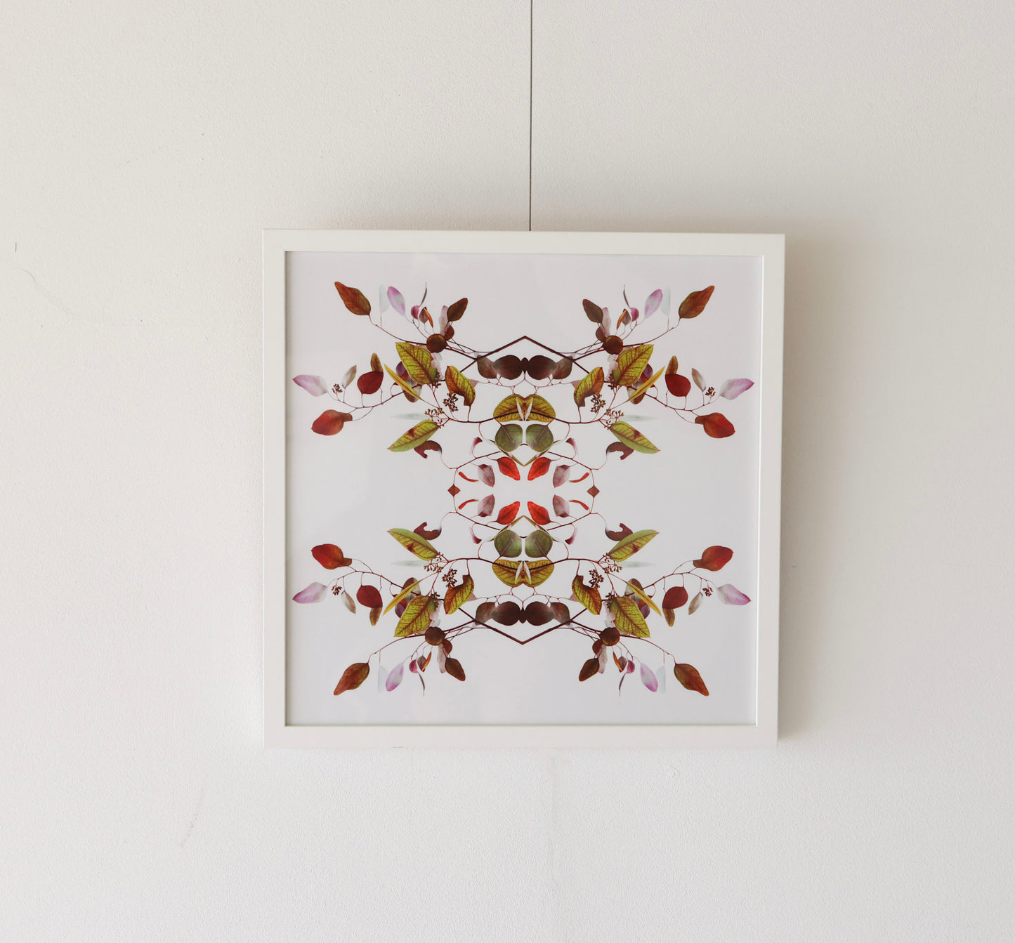 Eucalyptus 2 - 2022 - Limited Edition print by Harriet Riegerson
