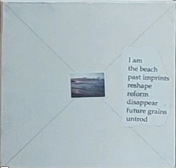 Studio Levine 'I Am the Beach' 12 Piece Series