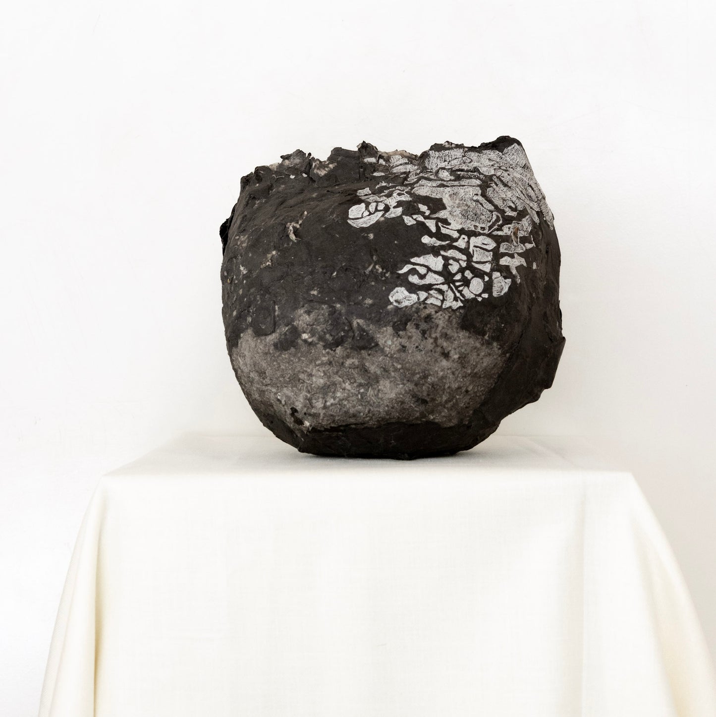 Studio Levine 'What came first?'