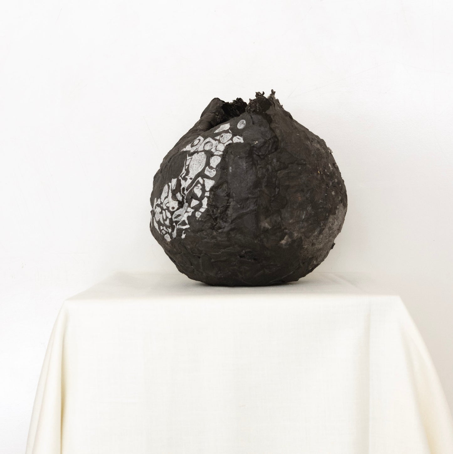 Studio Levine 'What came first?'