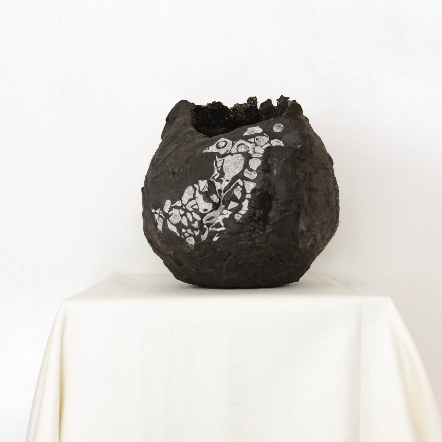 Studio Levine 'What came first?'
