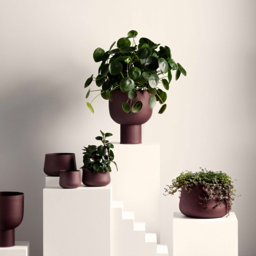 Iron Curve Planter - Umber