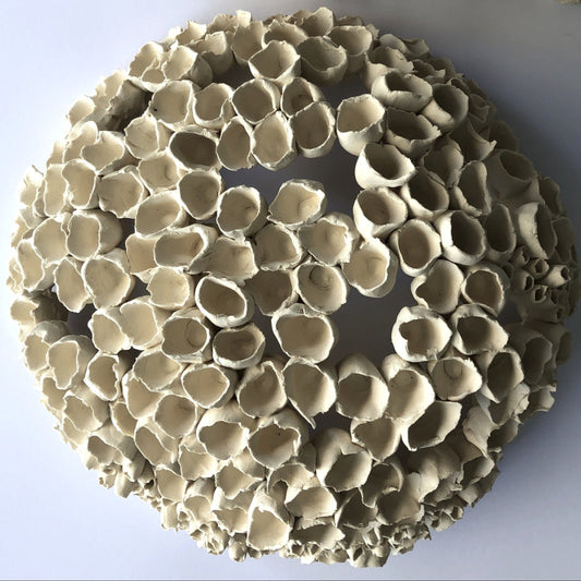 Coral Sculpture: Paper Clay